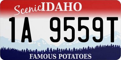 ID license plate 1A9559T