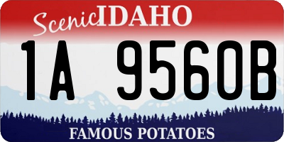 ID license plate 1A9560B
