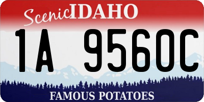 ID license plate 1A9560C