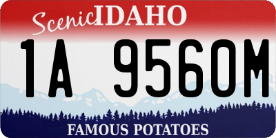 ID license plate 1A9560M