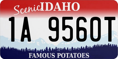ID license plate 1A9560T