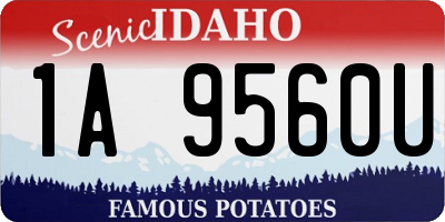 ID license plate 1A9560U