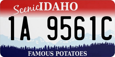 ID license plate 1A9561C