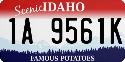 ID license plate 1A9561K