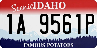 ID license plate 1A9561P
