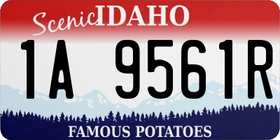 ID license plate 1A9561R