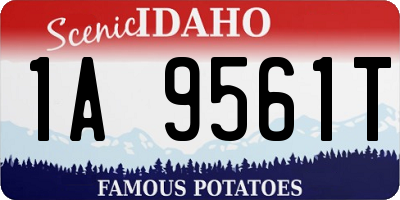 ID license plate 1A9561T