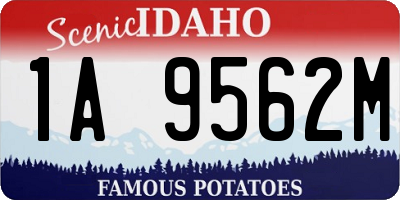 ID license plate 1A9562M