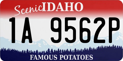 ID license plate 1A9562P