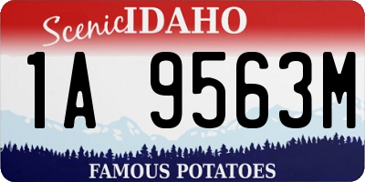 ID license plate 1A9563M
