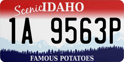 ID license plate 1A9563P