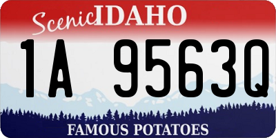 ID license plate 1A9563Q