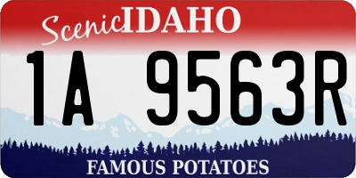 ID license plate 1A9563R