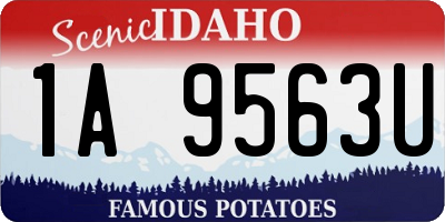 ID license plate 1A9563U