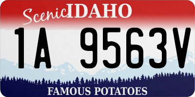 ID license plate 1A9563V