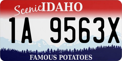 ID license plate 1A9563X