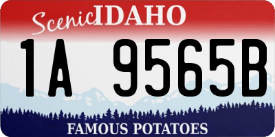 ID license plate 1A9565B