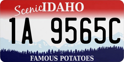 ID license plate 1A9565C