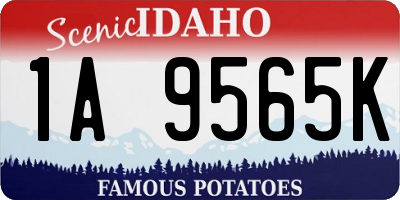 ID license plate 1A9565K