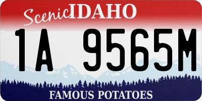 ID license plate 1A9565M