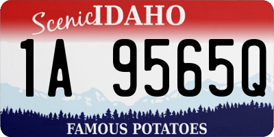 ID license plate 1A9565Q