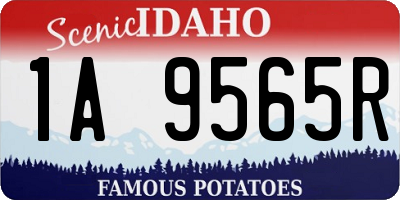 ID license plate 1A9565R