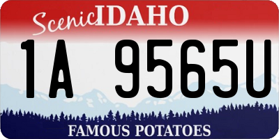 ID license plate 1A9565U