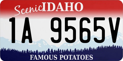 ID license plate 1A9565V