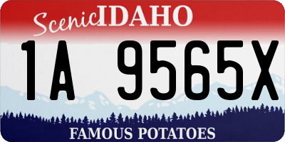 ID license plate 1A9565X