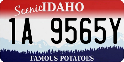 ID license plate 1A9565Y