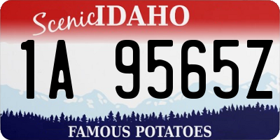 ID license plate 1A9565Z