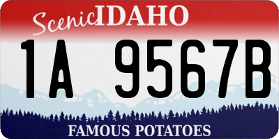 ID license plate 1A9567B