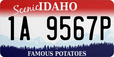 ID license plate 1A9567P