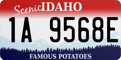 ID license plate 1A9568E