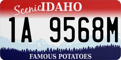 ID license plate 1A9568M