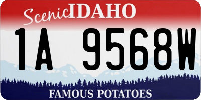 ID license plate 1A9568W