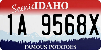 ID license plate 1A9568X