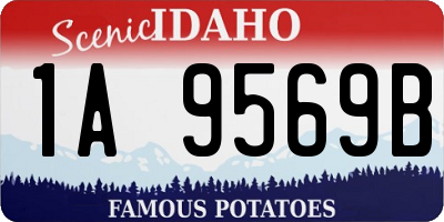 ID license plate 1A9569B