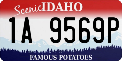 ID license plate 1A9569P