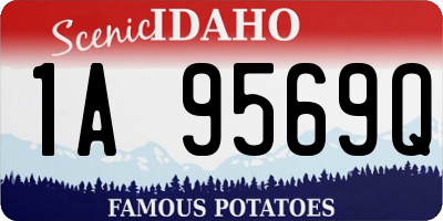 ID license plate 1A9569Q