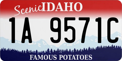 ID license plate 1A9571C