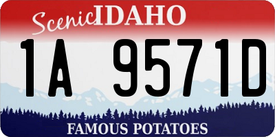 ID license plate 1A9571D