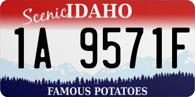 ID license plate 1A9571F