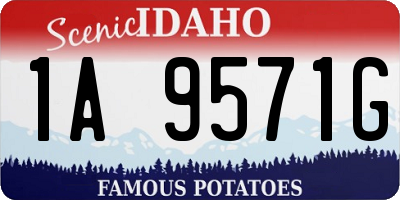 ID license plate 1A9571G