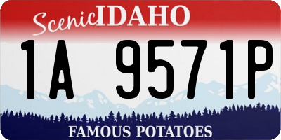 ID license plate 1A9571P