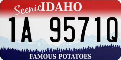 ID license plate 1A9571Q