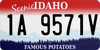 ID license plate 1A9571V