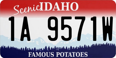 ID license plate 1A9571W