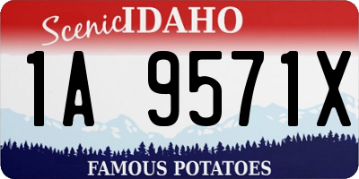 ID license plate 1A9571X