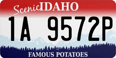 ID license plate 1A9572P